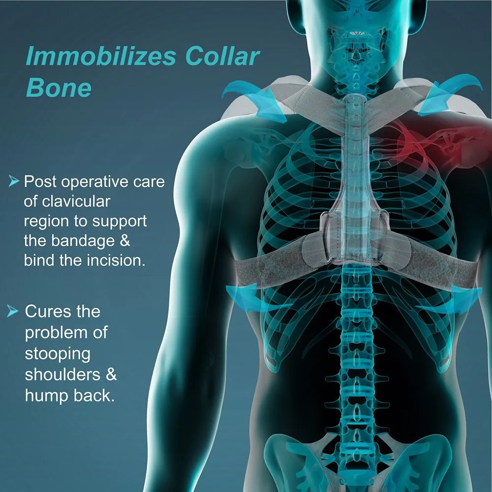 Tynor Clavicle Brace Velcro C05 - Image 2