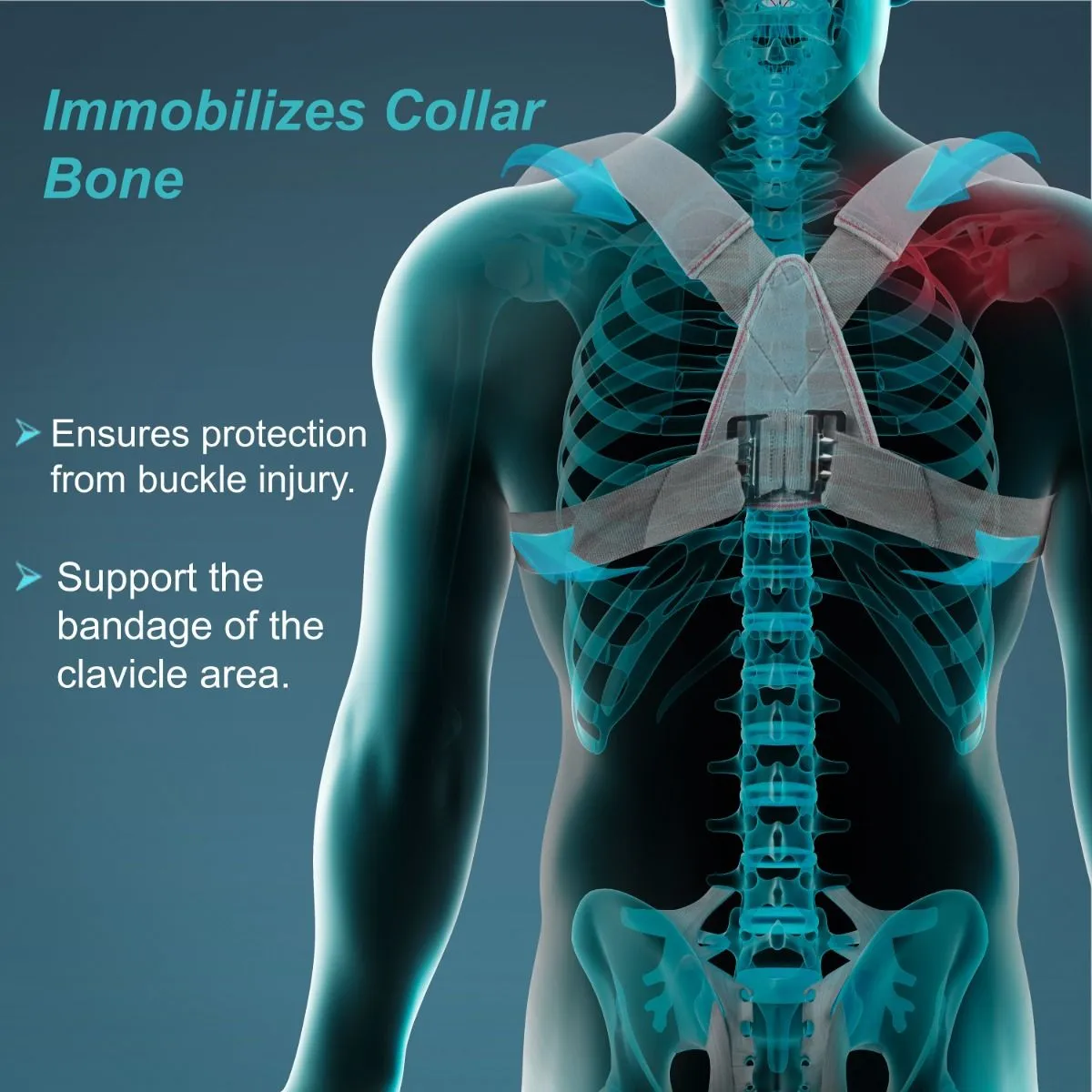 Tynor Clavicle Brace with Buckle C04 - Image 4